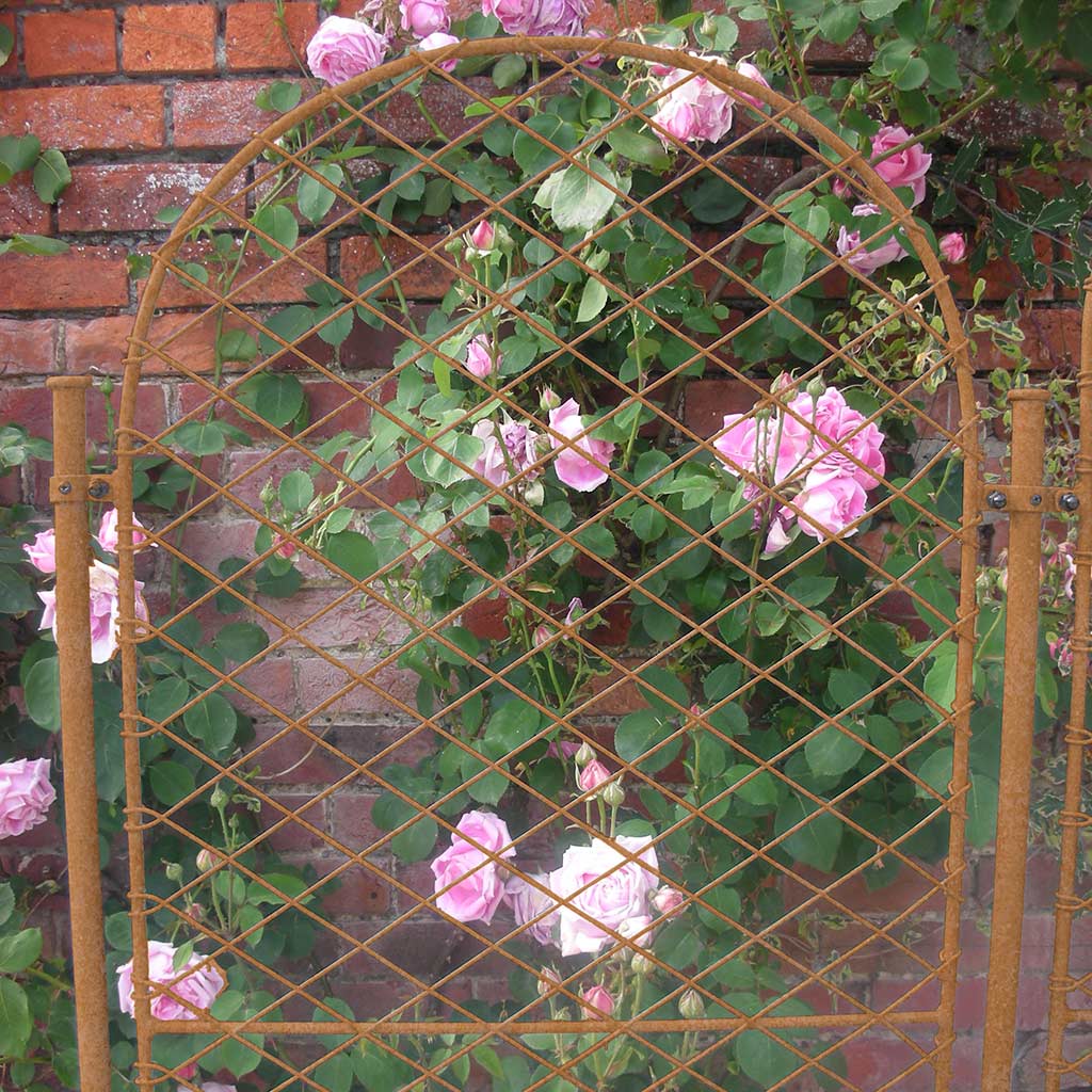 Elegance Round Screens - Agriframes USA