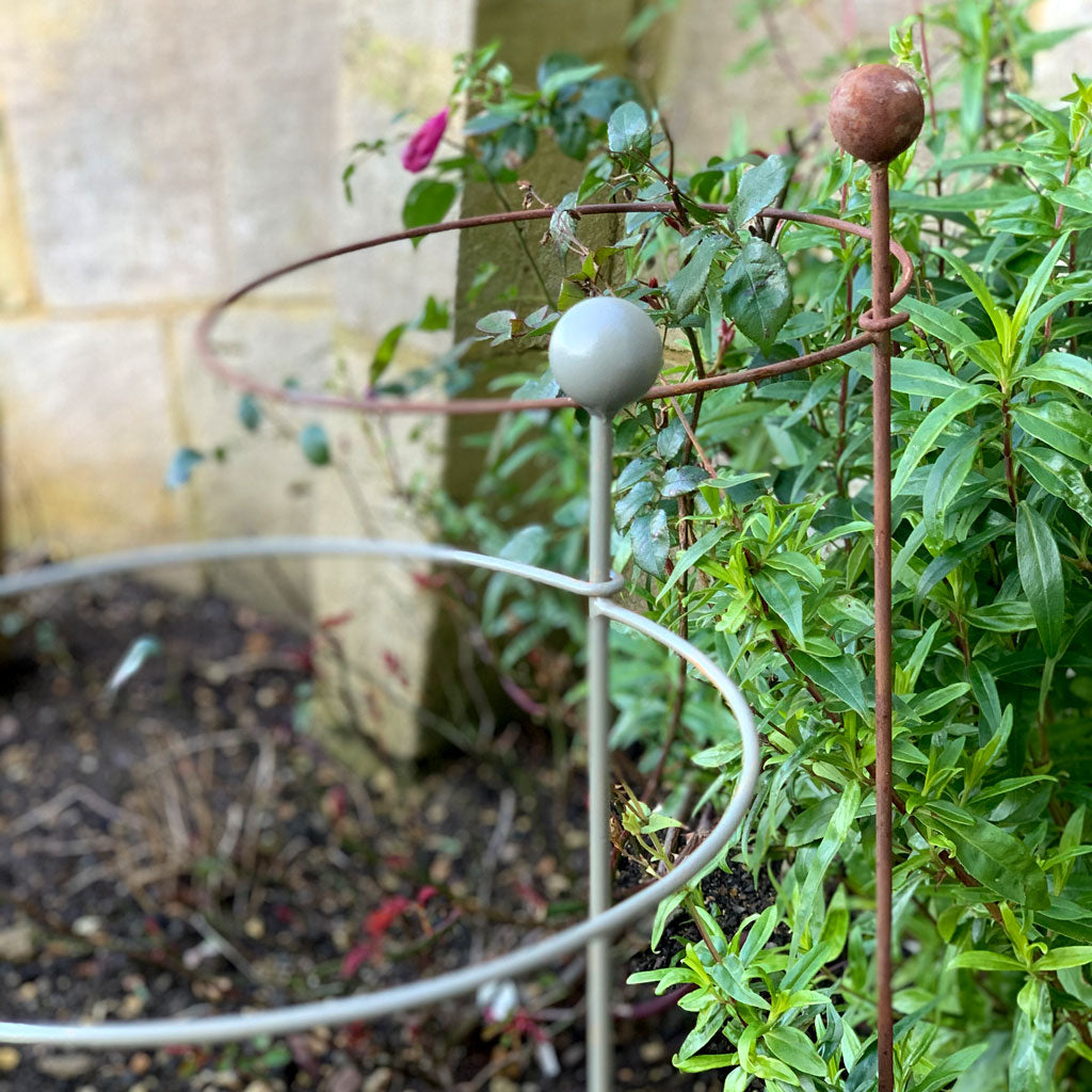 potted plant supports Hooped Plant Support | Plant Supports