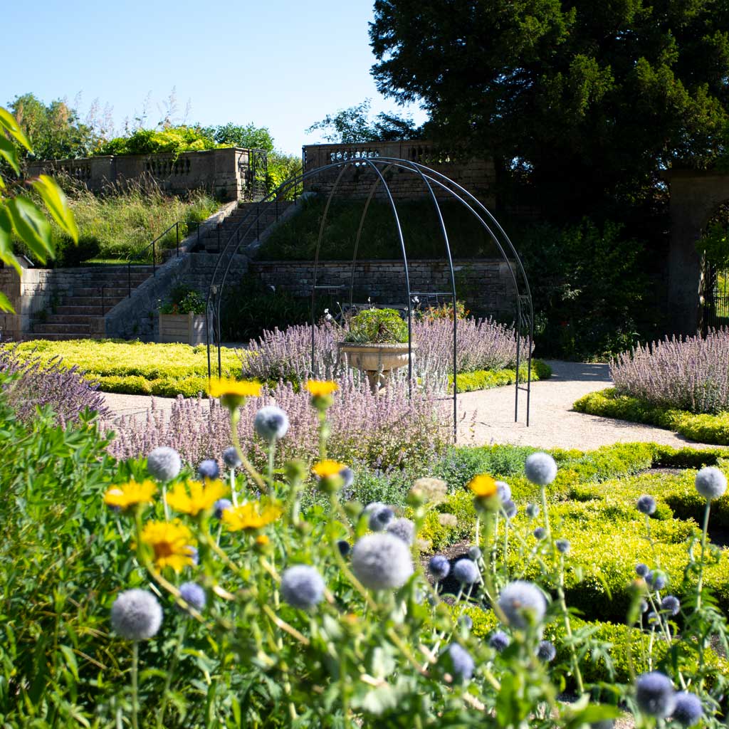 Dome Gazebo from the garden