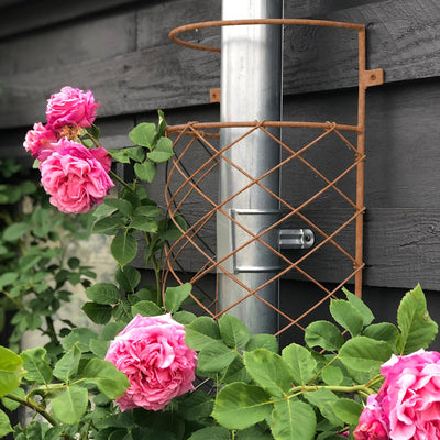 Elegance Downspout Trellis