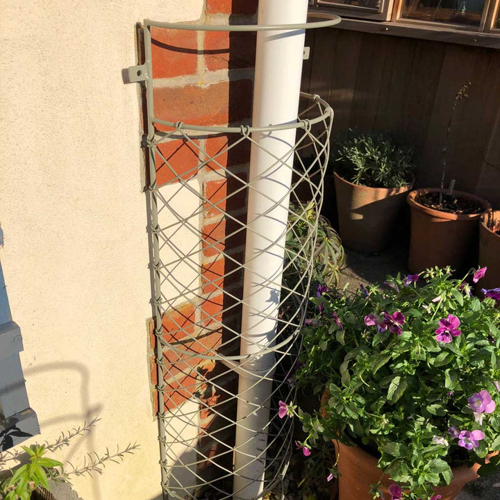 trellis covering plants Elegance Drainpipe Cover | Steel Trellis | Sage Green | (W)10 in × (H)3 ft × (D)7 in