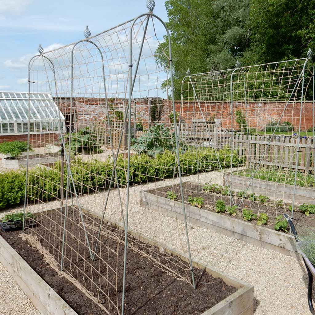 Elegance Runner Bean Frame | Plant Frames | Agriframes USA