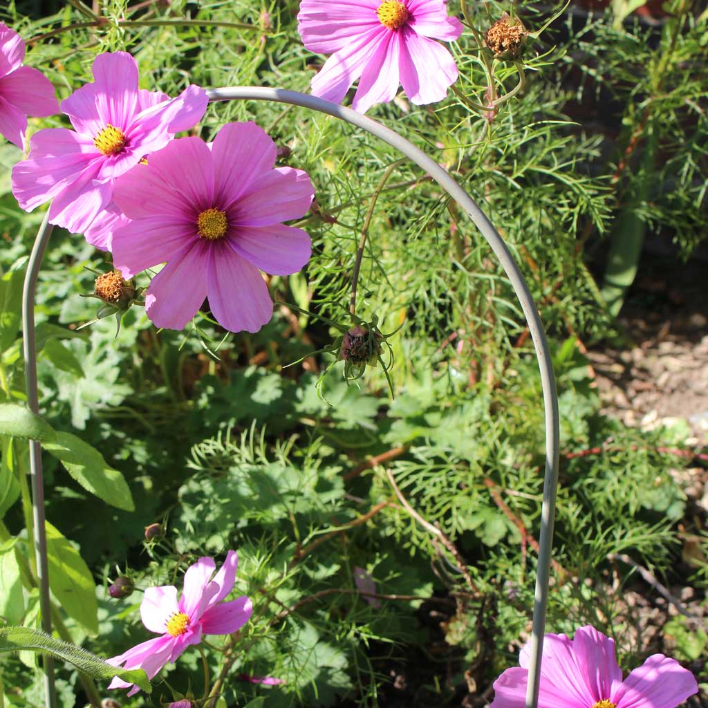 Garden Border Hoops (Pack of 6)