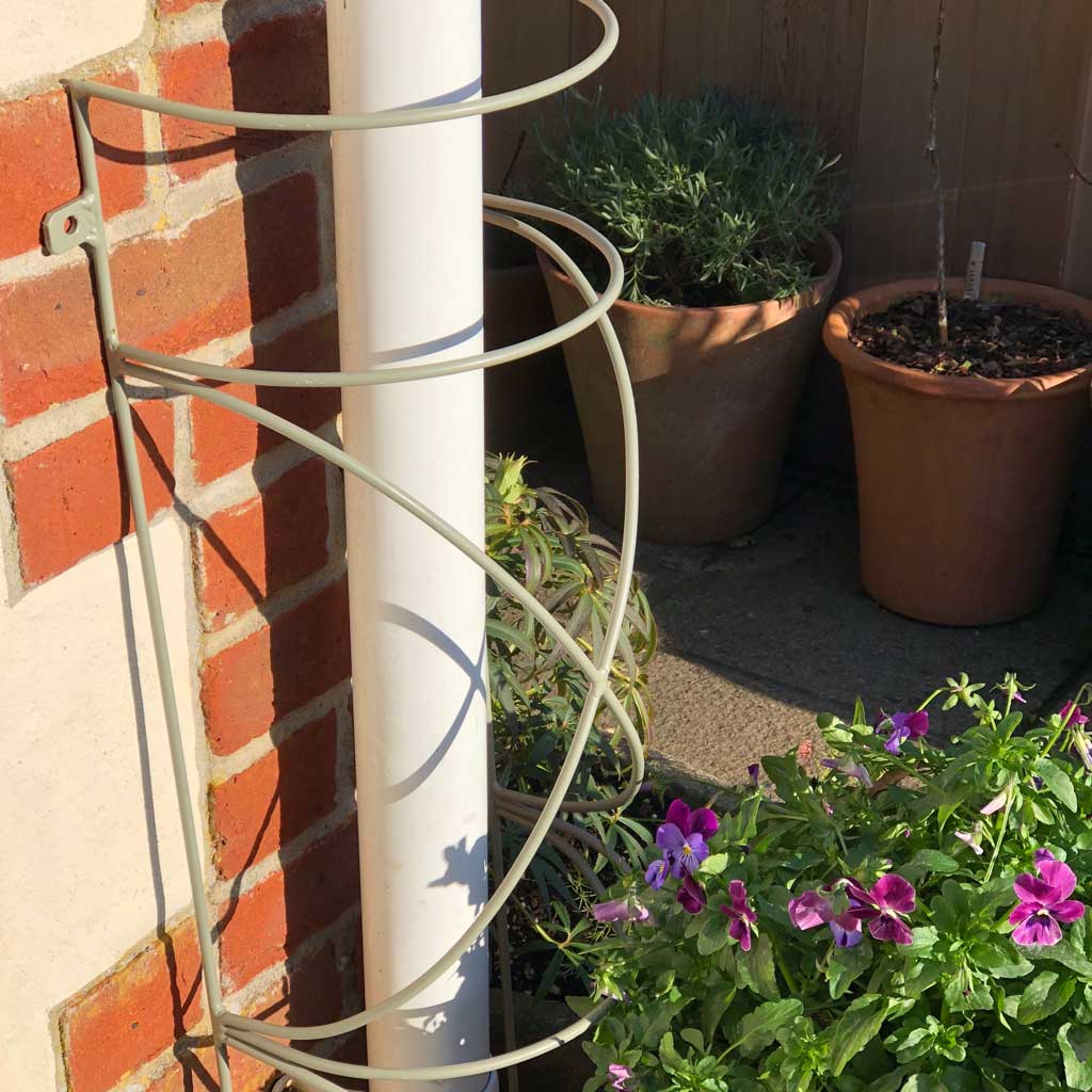 Elegance King Downspout Trellis | Agriframes USA