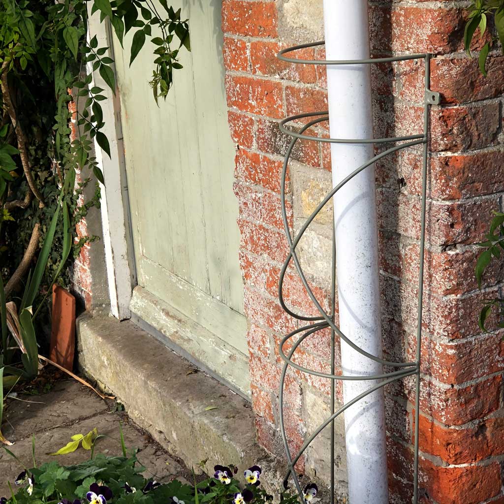 Elegance King Downspout Trellis