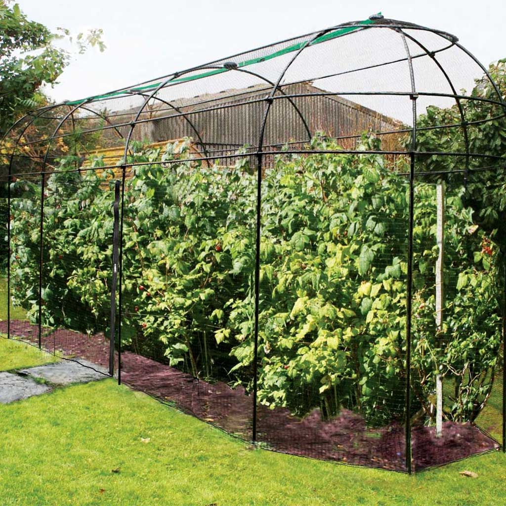 Victorian Steel Fruit Cage