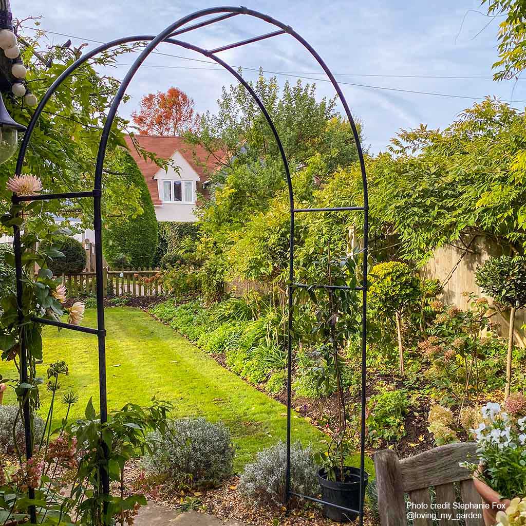 Basic Round Arch Round Garden Arch | Garden Arches | Agriframes USA