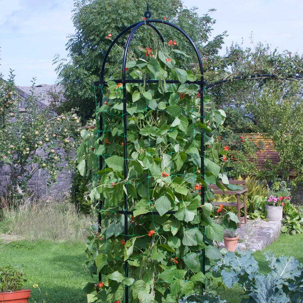 gurney's seed & nursery company bean tower plant trellis Runner Bean Tower – Matt Black Steel Climbing Support W75 × H2.15 m
