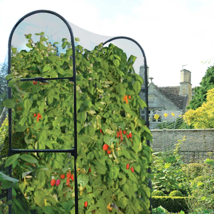 hanging raspberry plant Telescopic Raspberry Support – Adjustable Steel Frame L1.6–3 m × H1.8 m × D35 cm