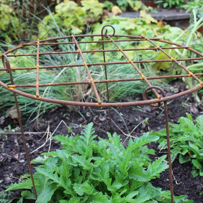 Round Rustic Grow Through | Plant Frames | Agriframes USA