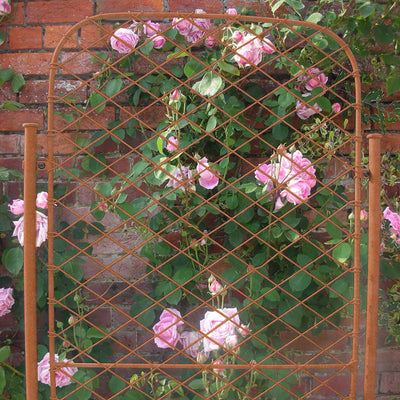 elegant rusted garden screen with roses
