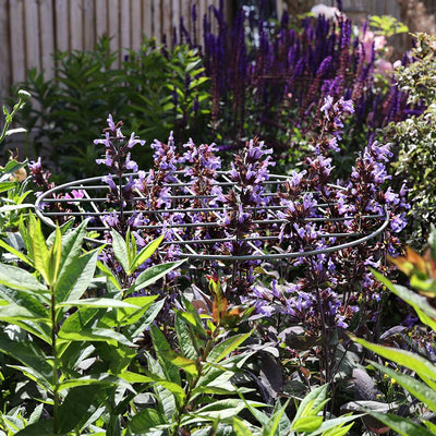 Metal Plant Supports | Agriframes USA