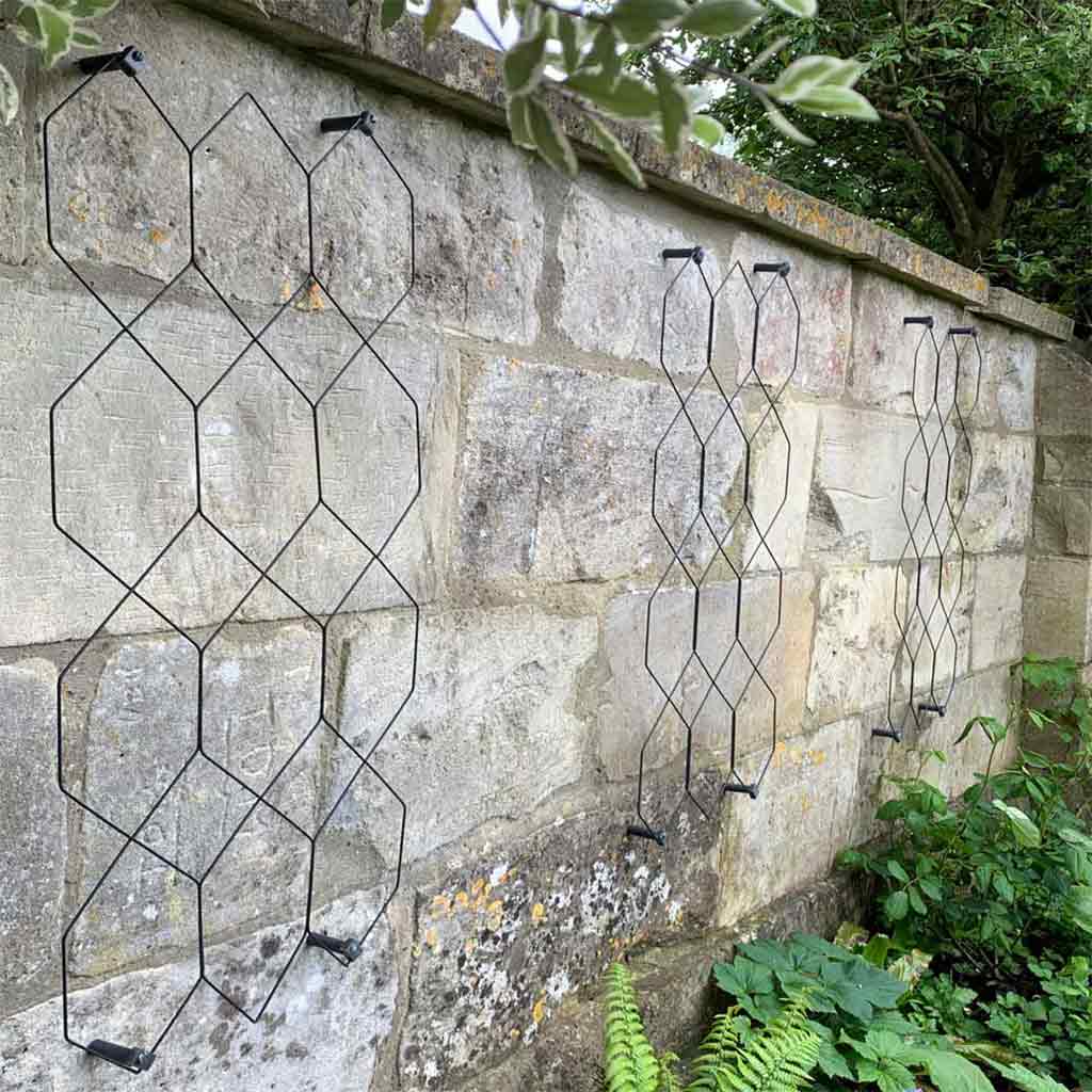 wall mounted plant trellis Wall Trellis | Garden Trellis