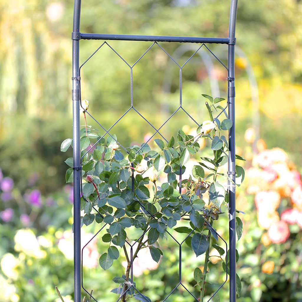 Round Garden Arch | Garden Arches | Agriframes USA