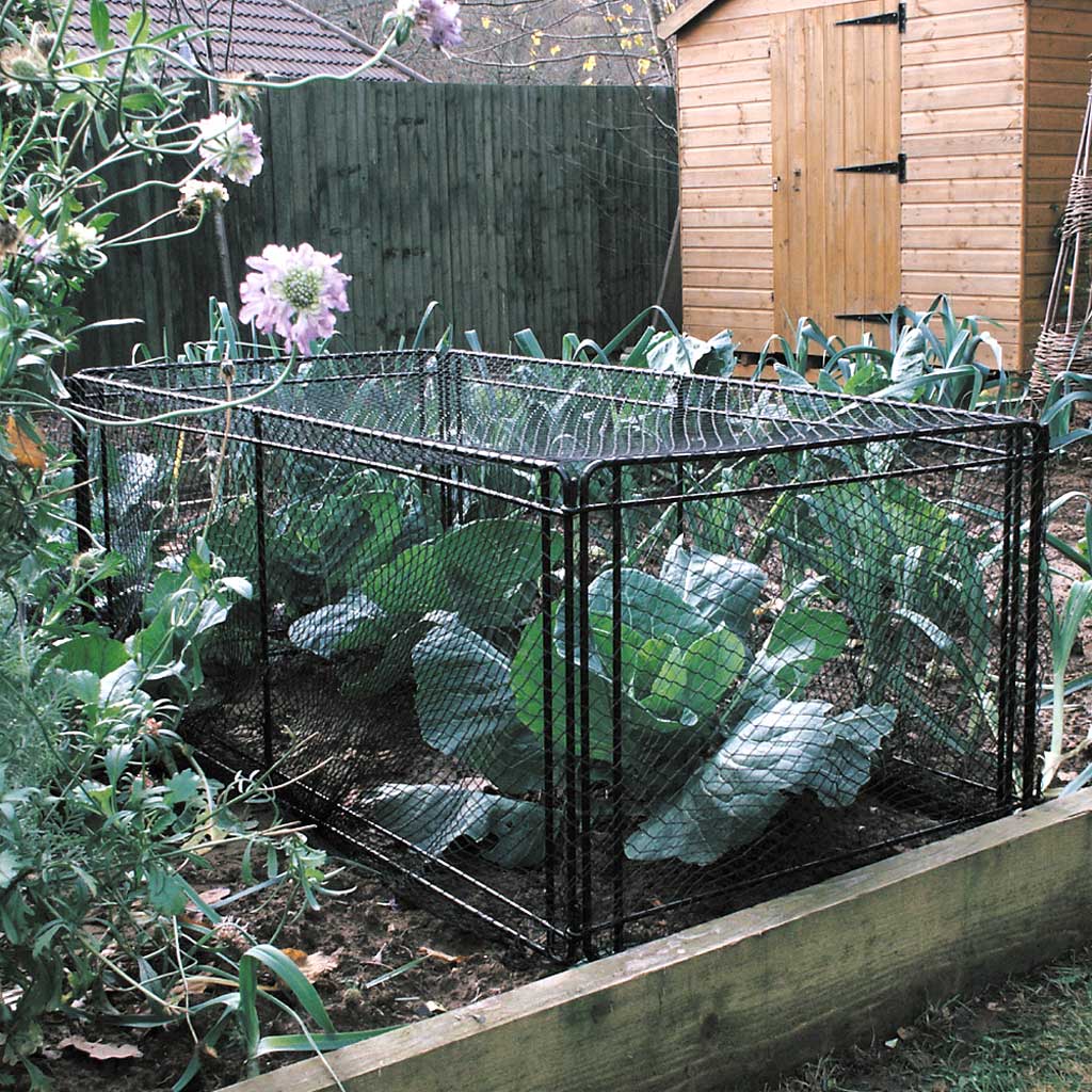 mini_crop_cage- on veg planter- agriframes