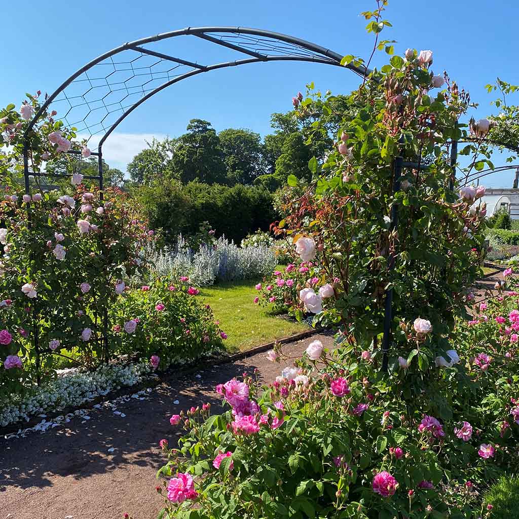 Monet Garden Arch I Garden Arches | Agriframes USA