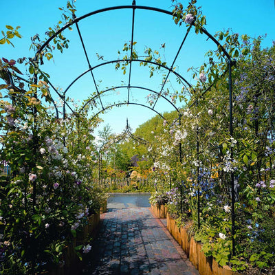 Monet Pergola