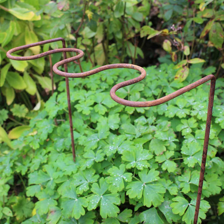 house plant support frame Ripple Plant Support | Rustic Steel | W12 in × H27 in × D5 in