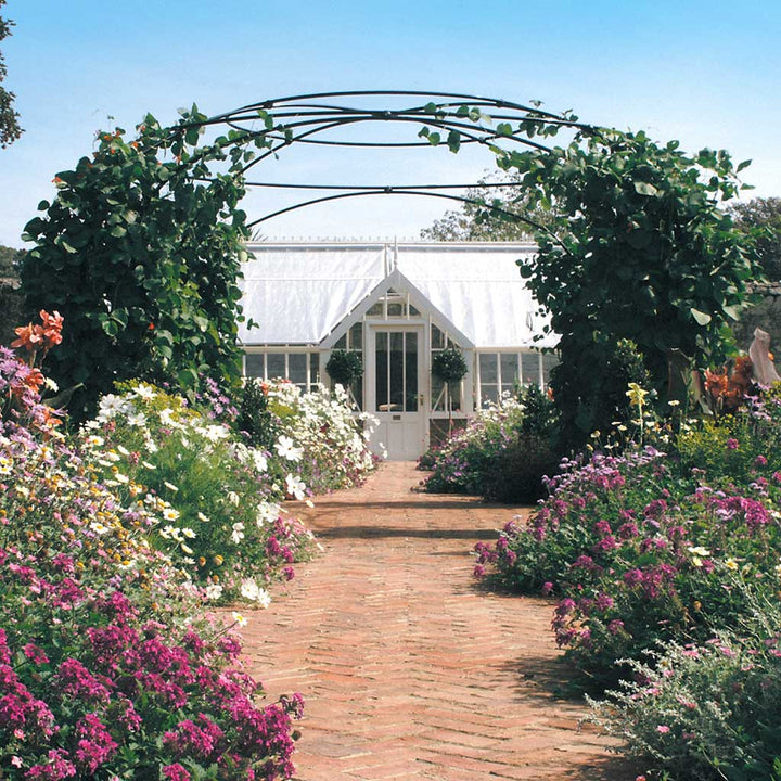 gazebo plant Round Garden Gazebo | English-Designed | Galvanized Steel | Lattice Panels | Matte Black Finish | (W)9ft 10