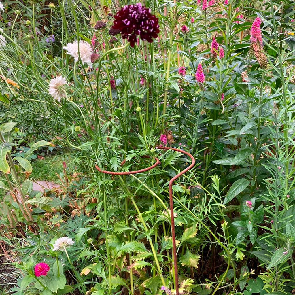 Spiral Plant Supports - Set of 3 | Agriframes USA