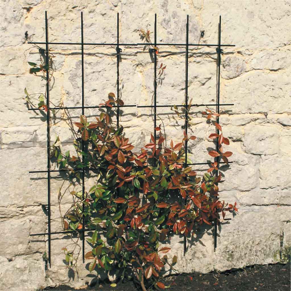 metal trellis too hot for plants Square Trellis