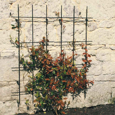 square trellis in use 