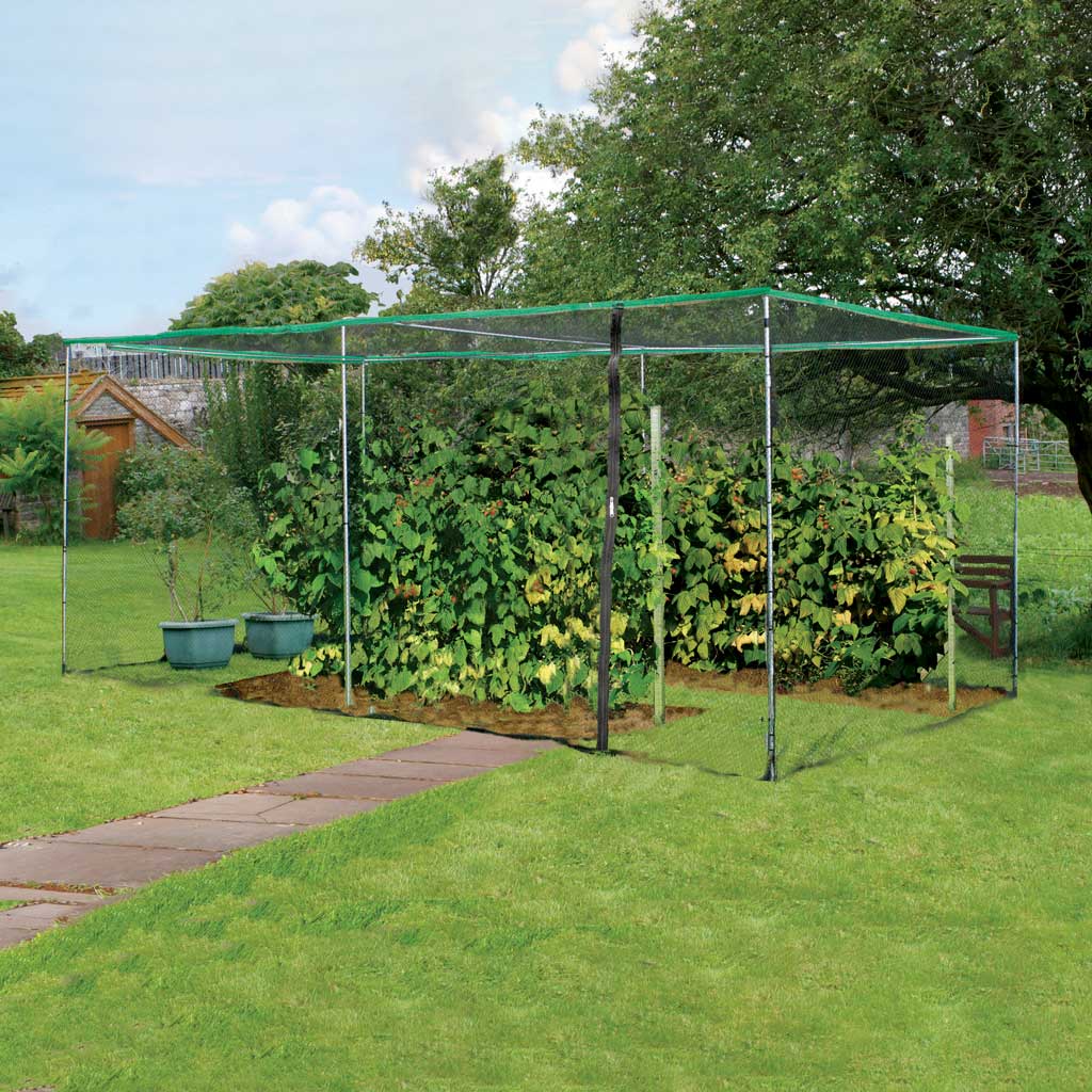 starter fruit cage- agriframes- wide in use